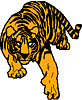 Tiger logo 