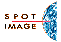 Spot-Image logo 