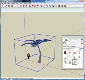 Palmtree in Sketchup